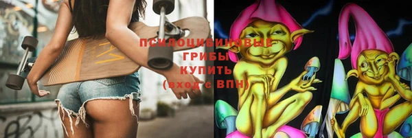 тгк Белокуриха
